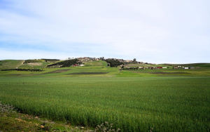 copie-de-copie-de-copie-de-site-image-64