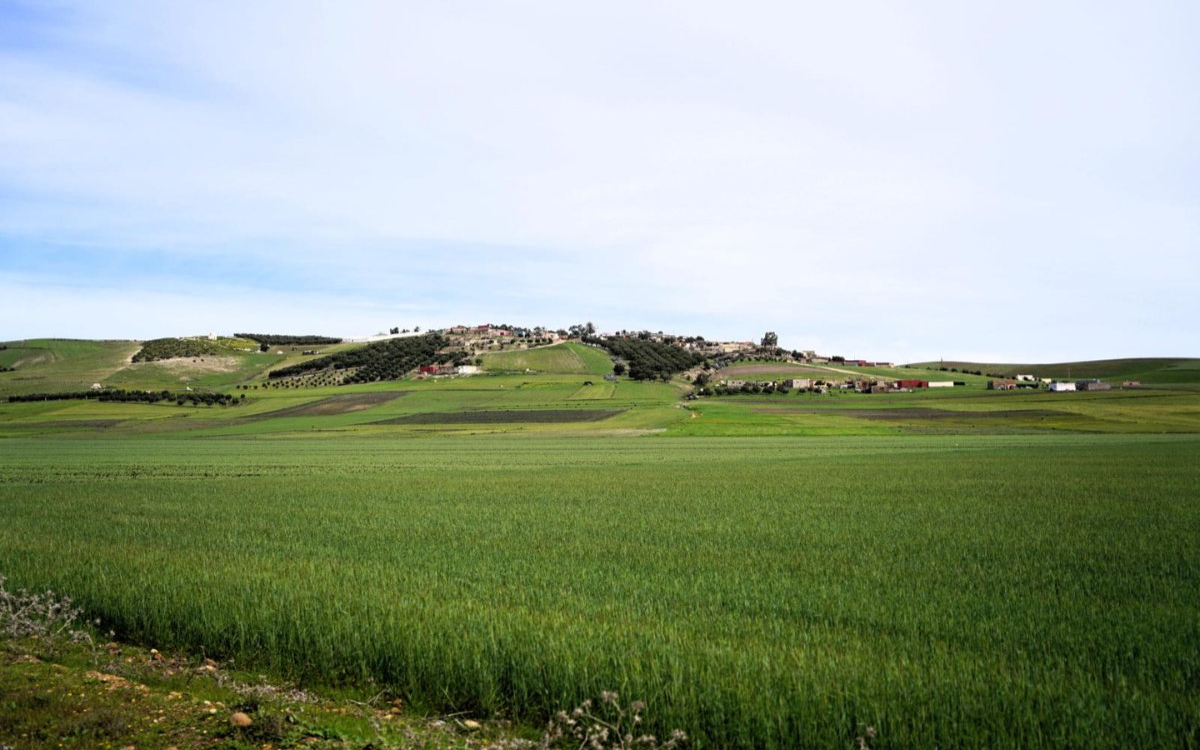 copie-de-copie-de-copie-de-site-image-64