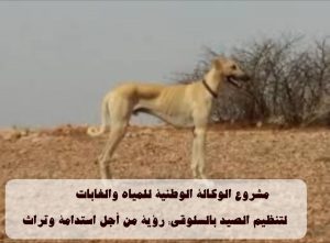 IMG-20250808-WA0048