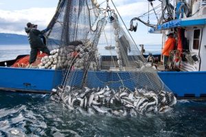 Fisheries