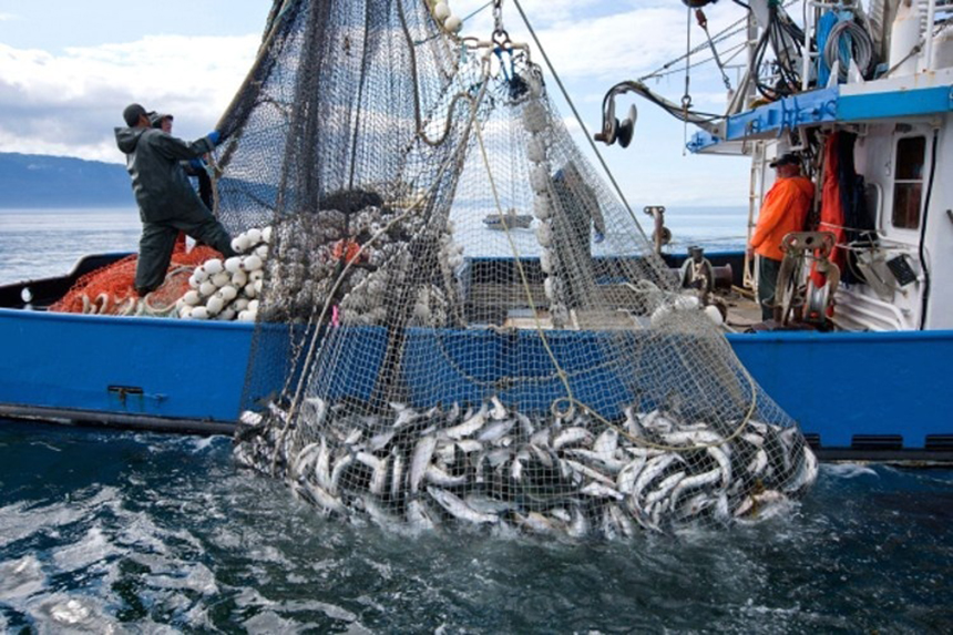 Fisheries