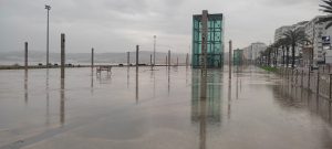 IMG_20250305_153614