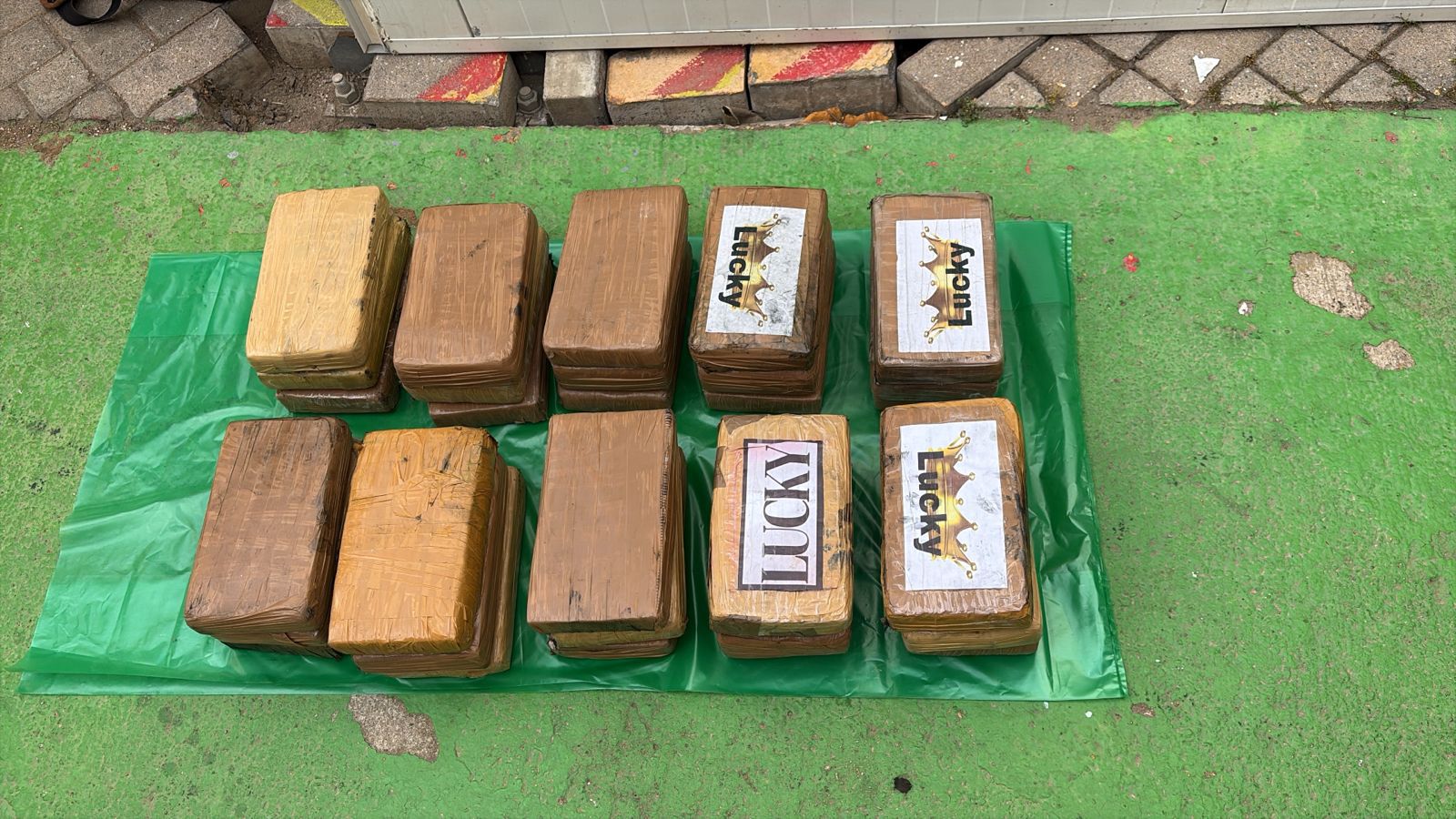 dd115cdb-6c65-4342-8519-29de42408d2c