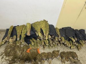 IMG-20260912-WA0001