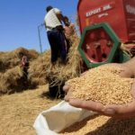 ارتفاع كلفة القمح يدفع المغرب إلى مضاعفة المنحة المخصصة للواردات