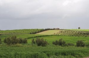 IMG_5711