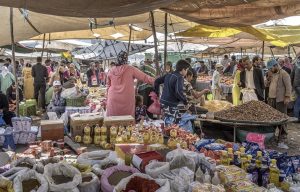 IMG_5728