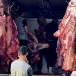 إعفاءات استيراد الأبقار تحت المجهر.. مخاوف من ارتفاع جديد لأسعار اللحوم الحمراء
